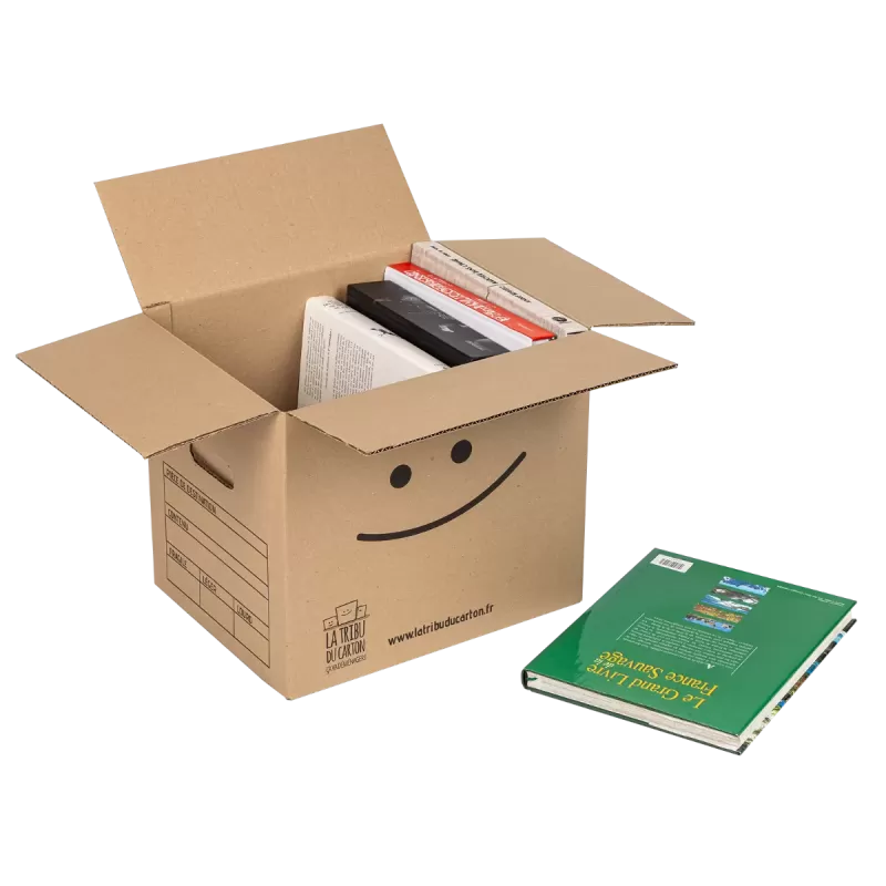 Pack 10 cartons avec poignées pour livres et objets