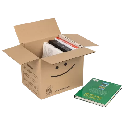 Pack 10 cartons avec poignées pour livres et objets