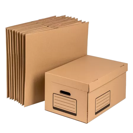 Lot de 10 caisses archives