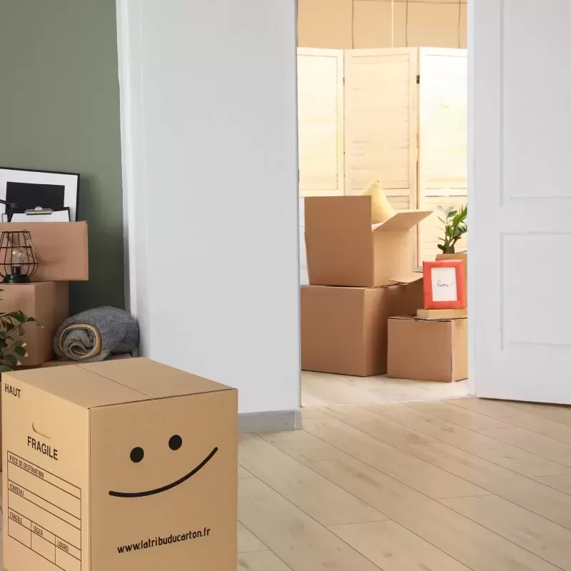 10 grands cartons ultra renforcés pour charge jusqu'à 40 kg