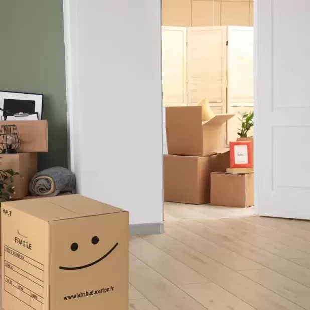 10 grands cartons ultra renforcés pour charge jusqu'à 40 kg