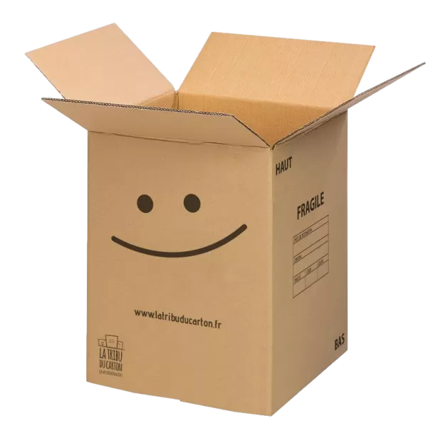 Grand carton barrel avec poignées