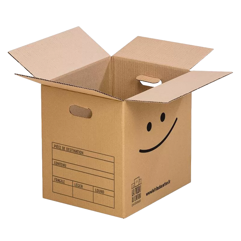 Pack 10 cartons avec poignées pour livres et objets