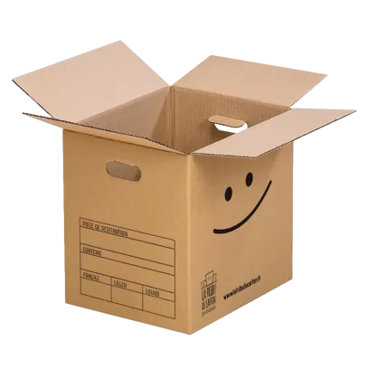 Pack 10 cartons avec poignées pour livres et objets