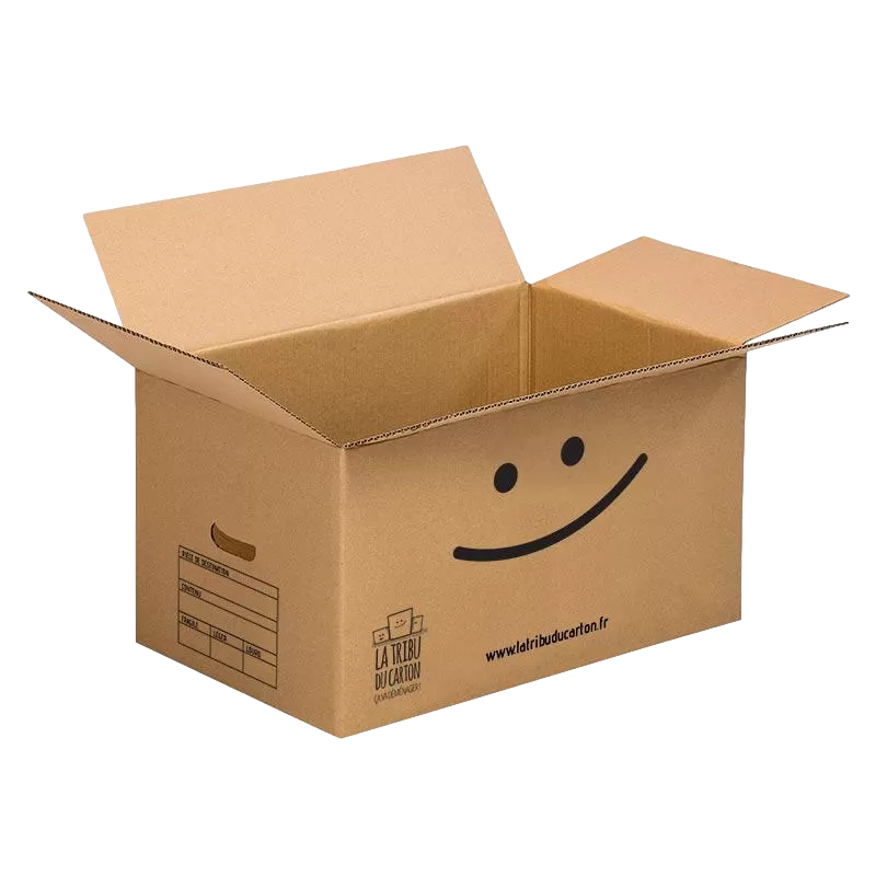 Pack économique 20 cartons avec poignées avec 1 adhésif offert