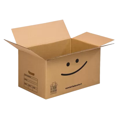 Pack économique 20 cartons avec poignées avec 1 adhésif offert