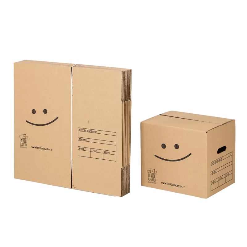 10 cartons à livres avec poignées