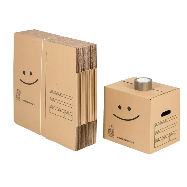 20 cartons à livres avec poignées
