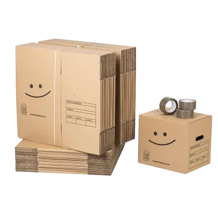 60 cartons à livres avec poignées