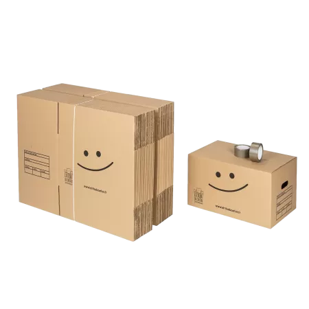 40 cartons standard avec poignées