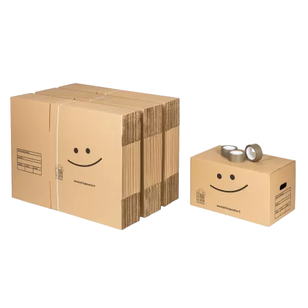 60 carton standard avec poignées