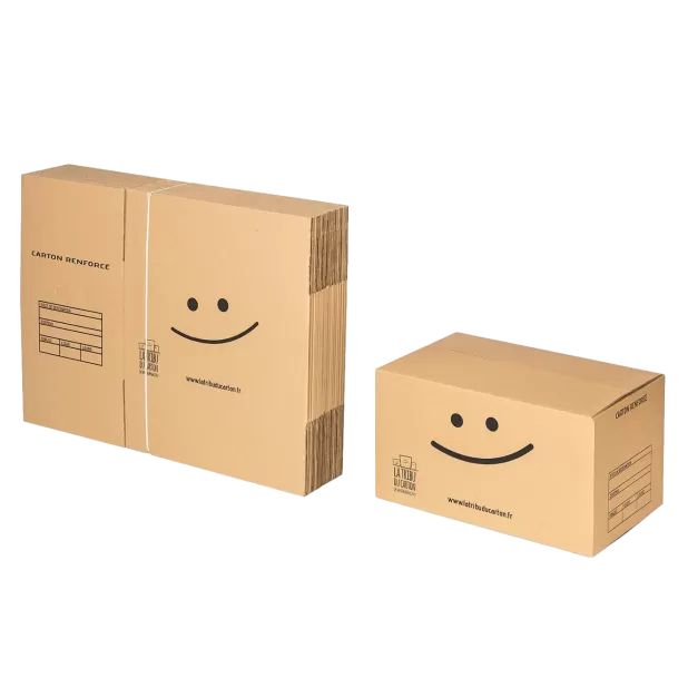 20 cartons standard renforcés