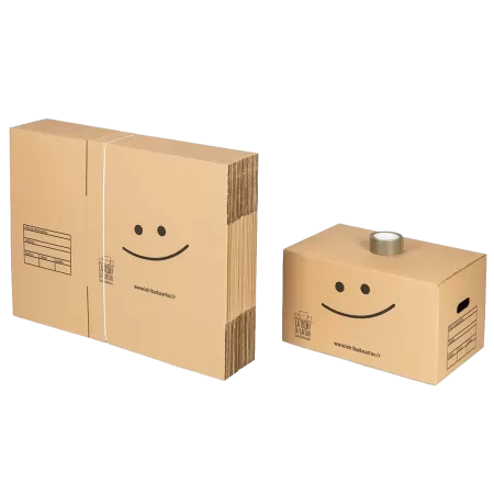 20 cartons standard avec poignées