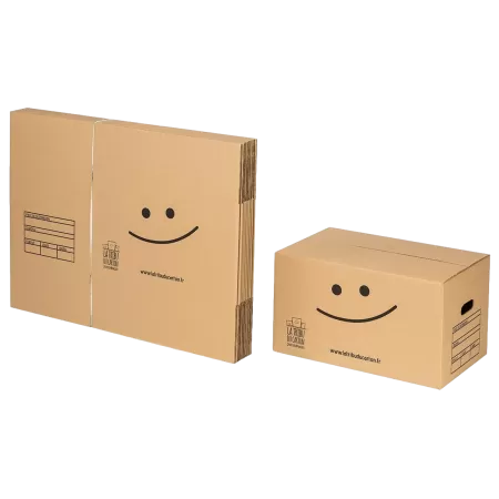 10 cartons standard avec poignées