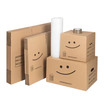 Kit déménagement T1