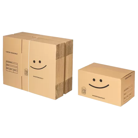 Pack 40 cartons standard renforcés avec poignées