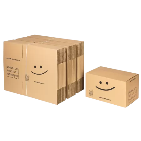 Pack 60 cartons renforcés avec poignées