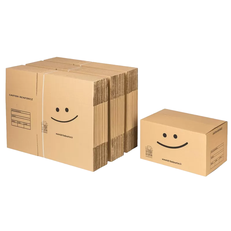 Pack 60 cartons renforcés avec poignées