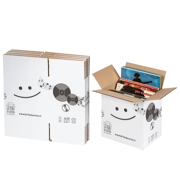 lot 5 cartons vinyles renforcés