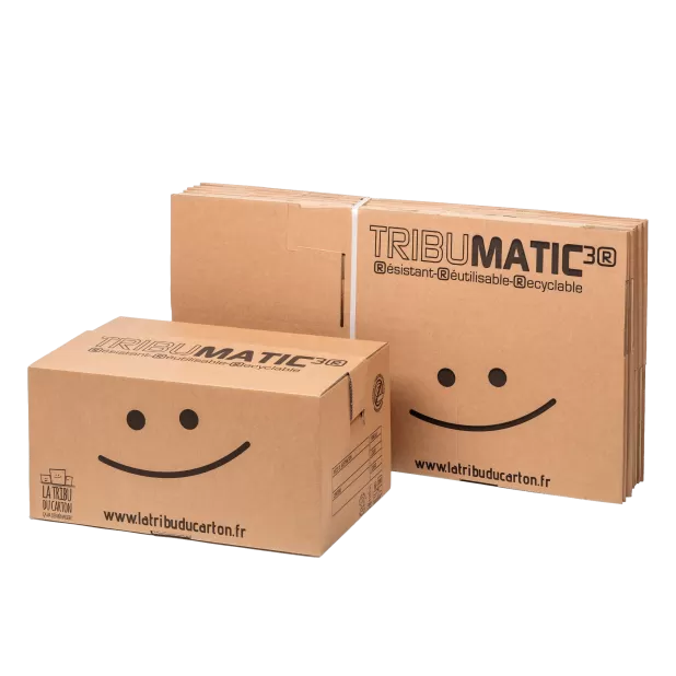 10 cartons automatiques Tribumatic grand format