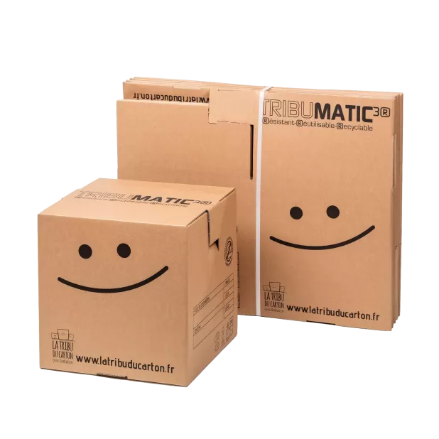 Pack 10 cartons automatiques Tribumatic Medium