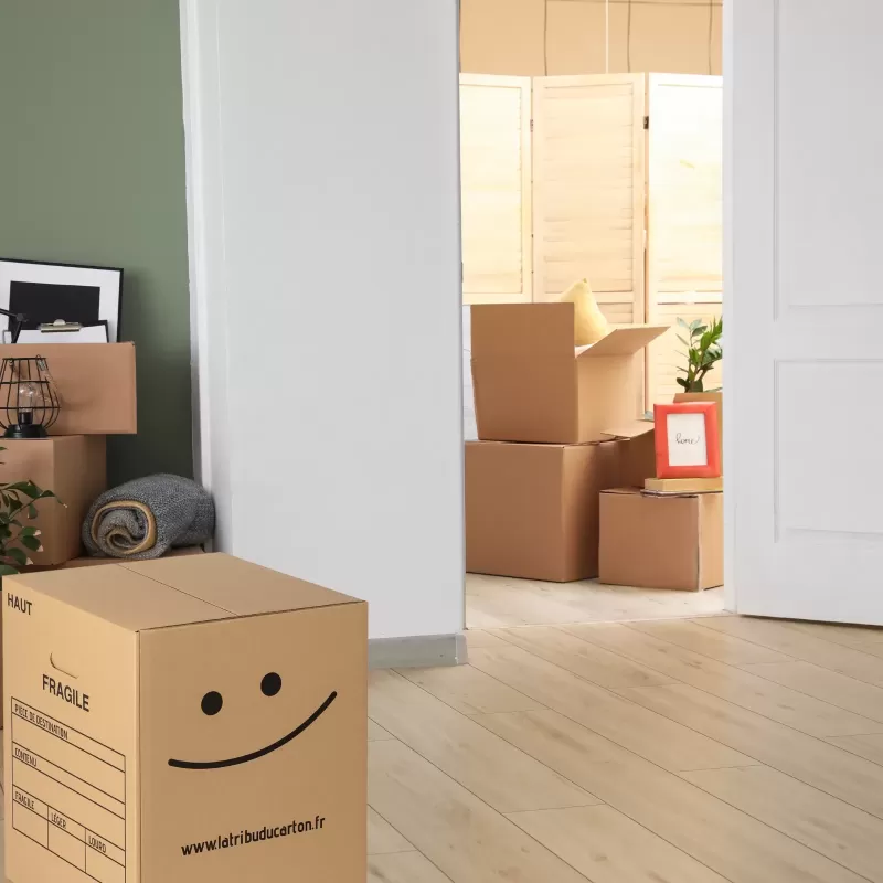 Carton déménagement ultra-renforcé avec poignées grand volume