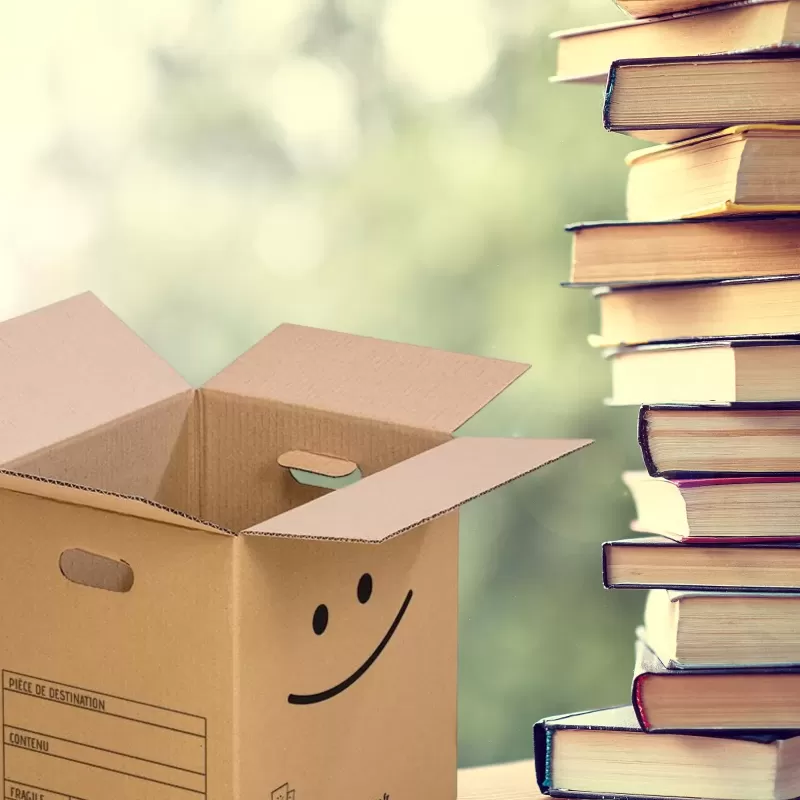 Pack 10 cartons avec poignées pour livres et objets