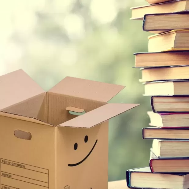 Pack 10 cartons avec poignées pour livres et objets