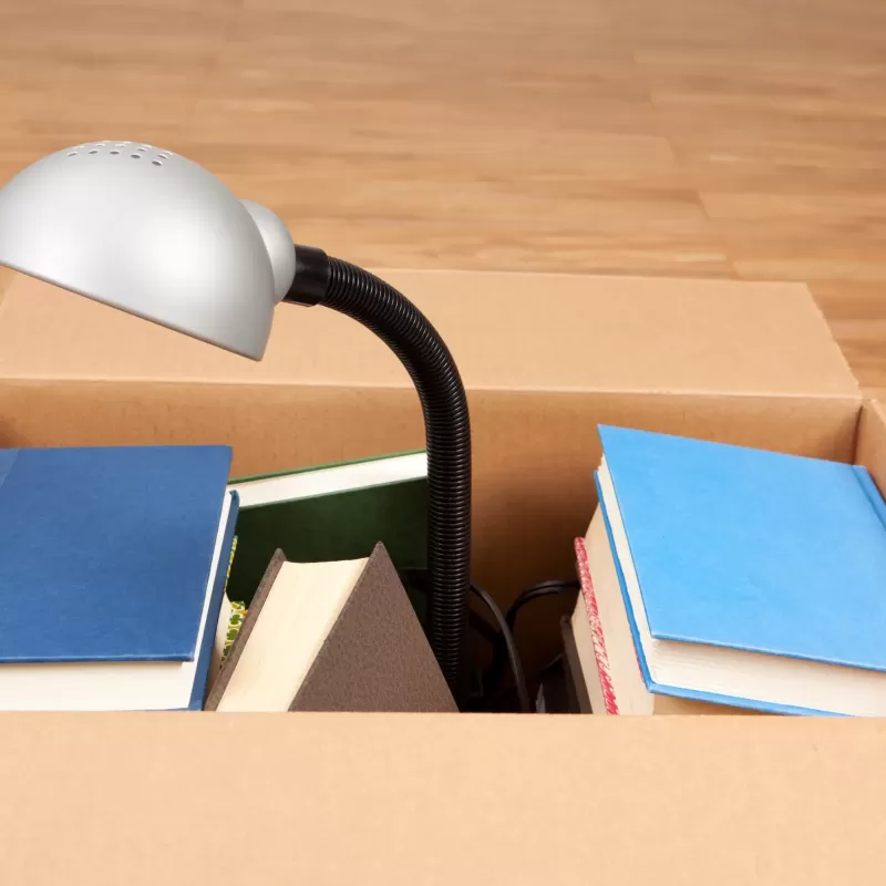 Pack économique 20 cartons avec poignées avec 1 adhésif offert