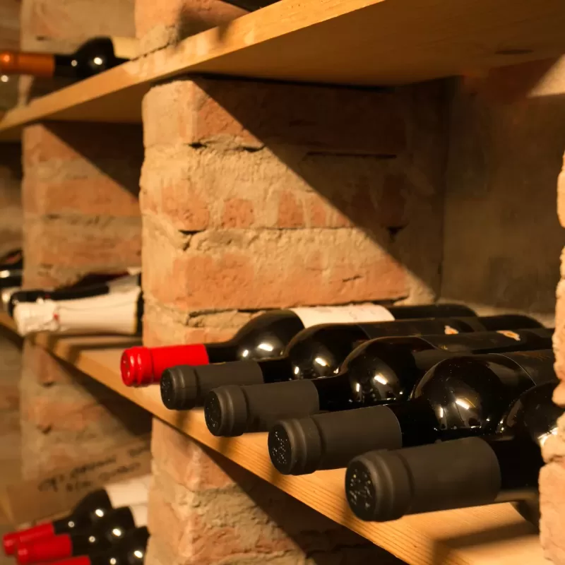 Lot de 5 cartons 12 bouteilles renforcés | La Tribu du Carton