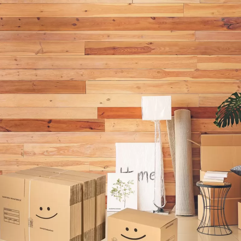 Lot 60 cartons renforcés avec poignées | La Tribu du Carton