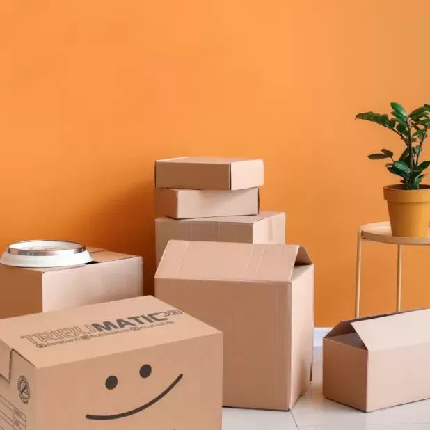 Grand carton automatique Tribumatic sans adhésif avec poignées.