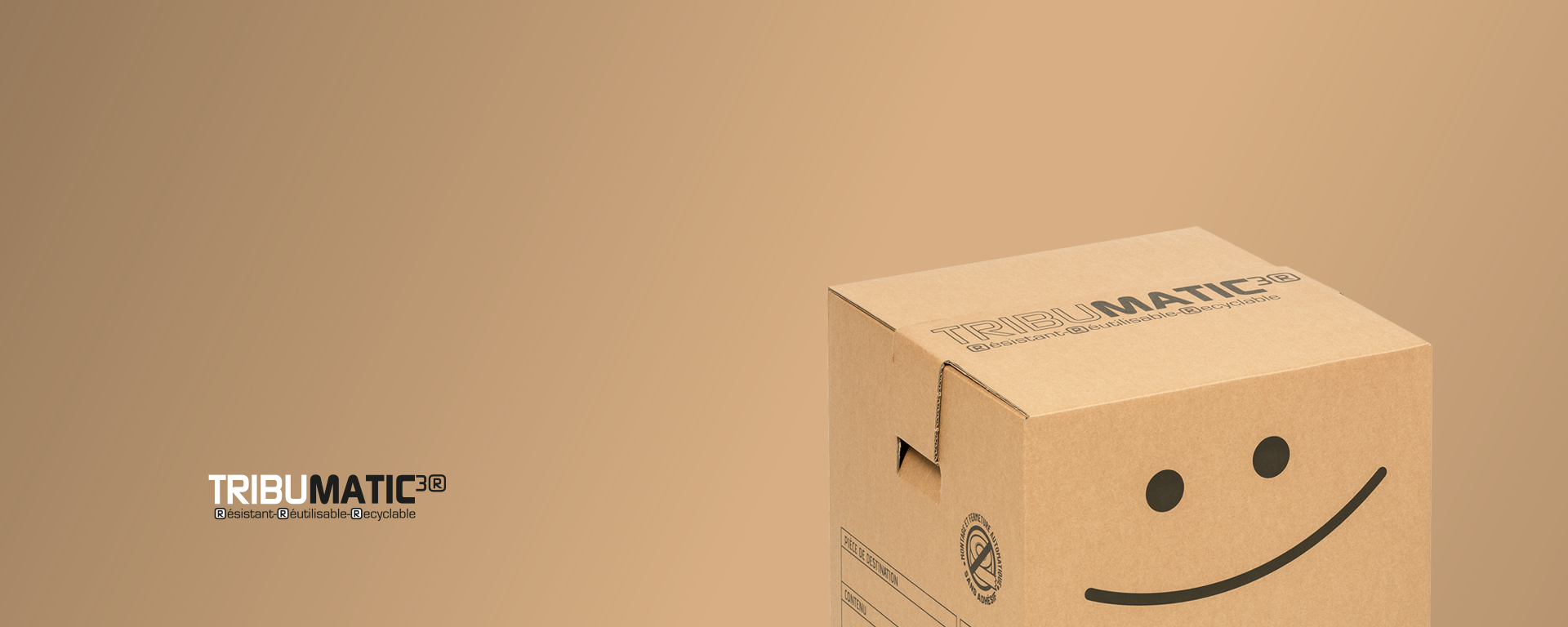 Carton automatique sans adhésif