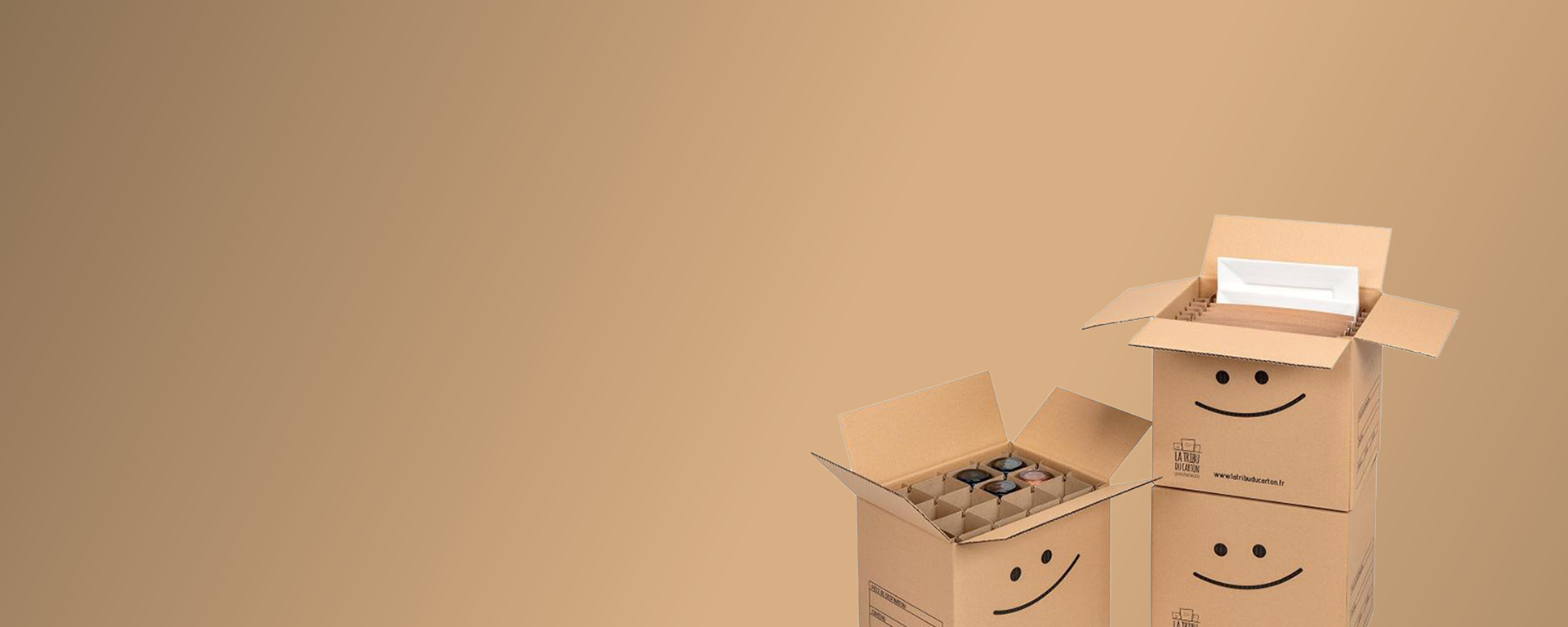 Carton demenagement specialisé